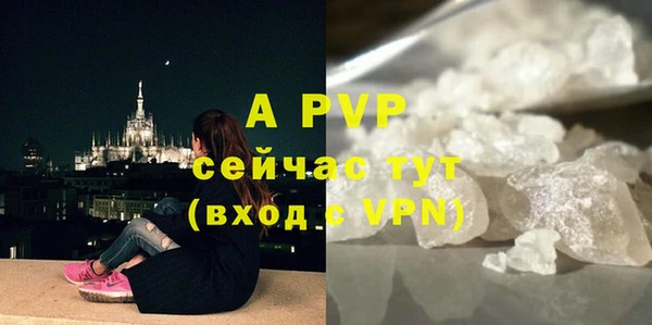 стафф Белокуриха