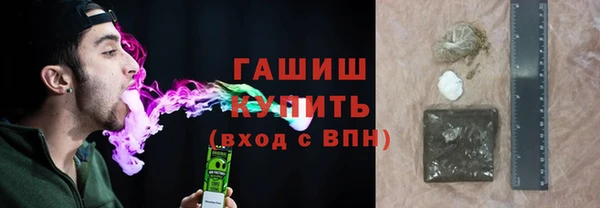 сатива Новодвинск